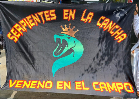 Banderola Serpientes en la Cancha