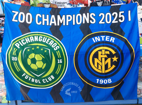 Banderola Zoo Champions 2025 Pichangueros FC